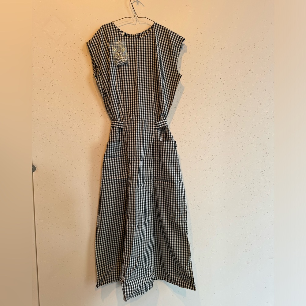NWT Agnes B gingham midi dress
